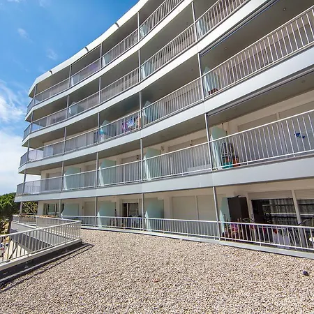Apartamento Palmeras 4.4